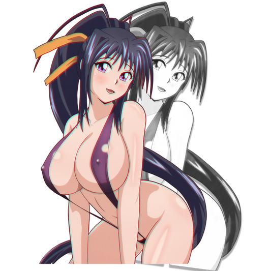 Akeno Himejima Sticker